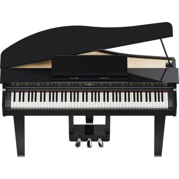 Roland GP-3 PE