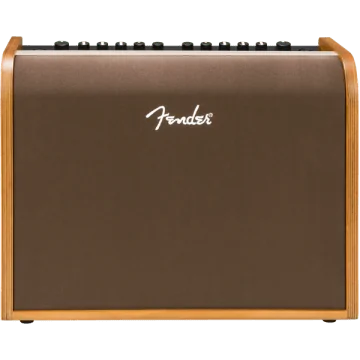 Fender Acoustic 100