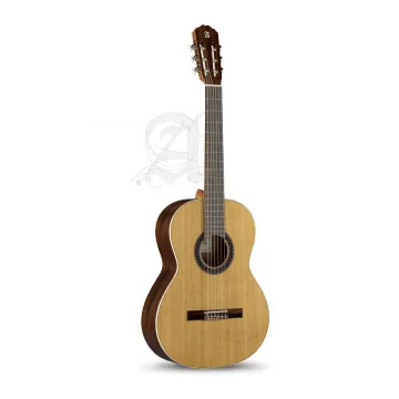 Alhambra 1C HT Hybrid Terra incl. gigbag