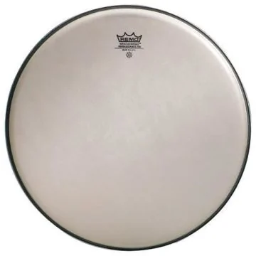 Remo RA-0010-SS
