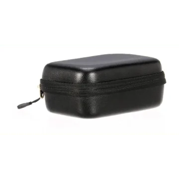 Positive Grid Spark Go Case