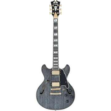D'angelico Excel Mini DC, Black Dog
