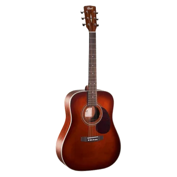 Cort Earth 70 Brown 