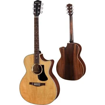 Eastman PCH2-GAce