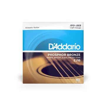 D'Addario EJ16