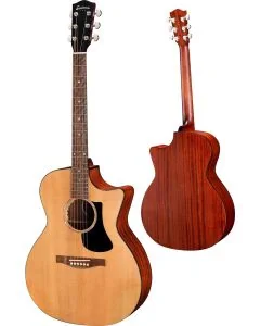 Eastman PCH1-GAce