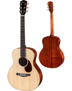 Eastman ACTG1