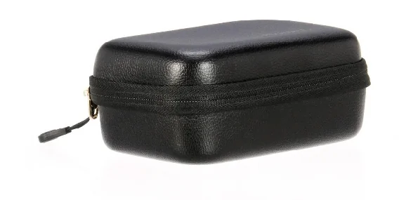 Positive Grid Spark Go Case