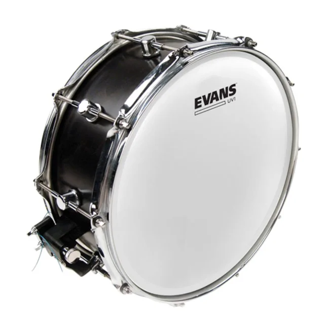 Evans B14UV1